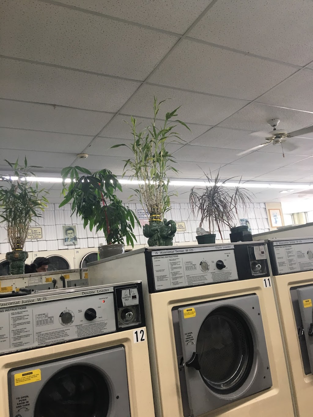 Ad Laundromat | 269 W Old Country Rd, Hicksville, NY 11801 | Phone: (516) 931-4888