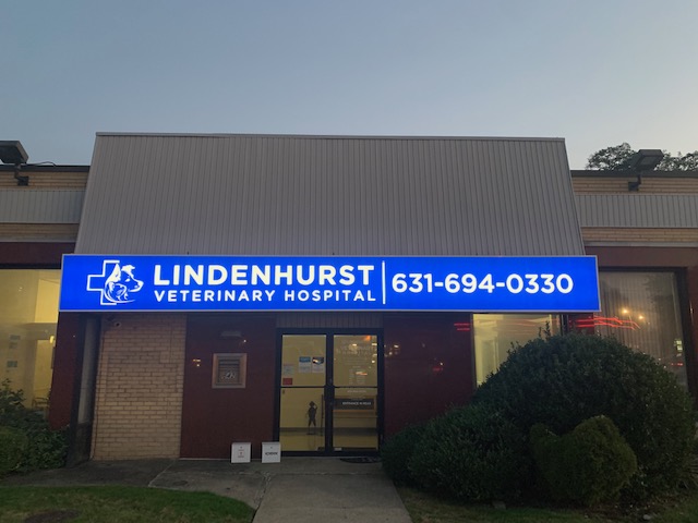 Lindenhurst Veterinary Hospital | 642 NY-109, Lindenhurst, NY 11757 | Phone: (631) 694-0330