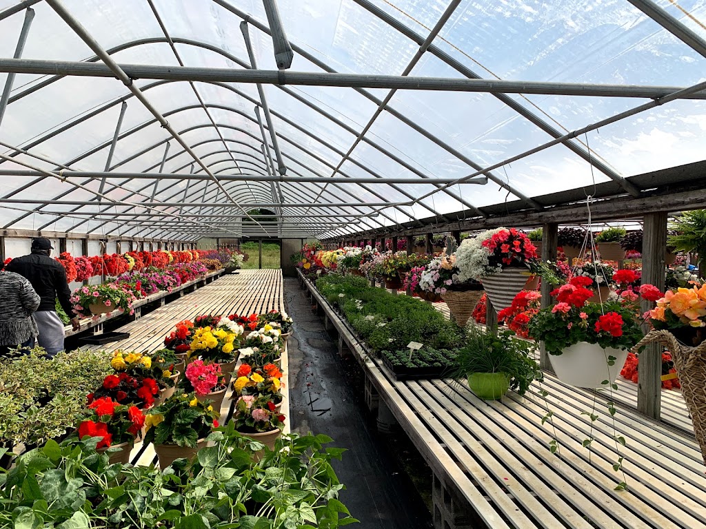 Rose Valley Greenhouse | 1288 Rose Valley School Rd, Dover, DE 19904 | Phone: (302) 734-2681