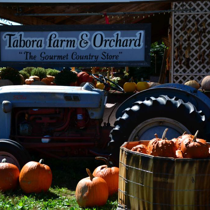 Tabora Farm & Orchard | 1104 Upper Stump Rd, Chalfont, PA 18914 | Phone: (215) 249-3016