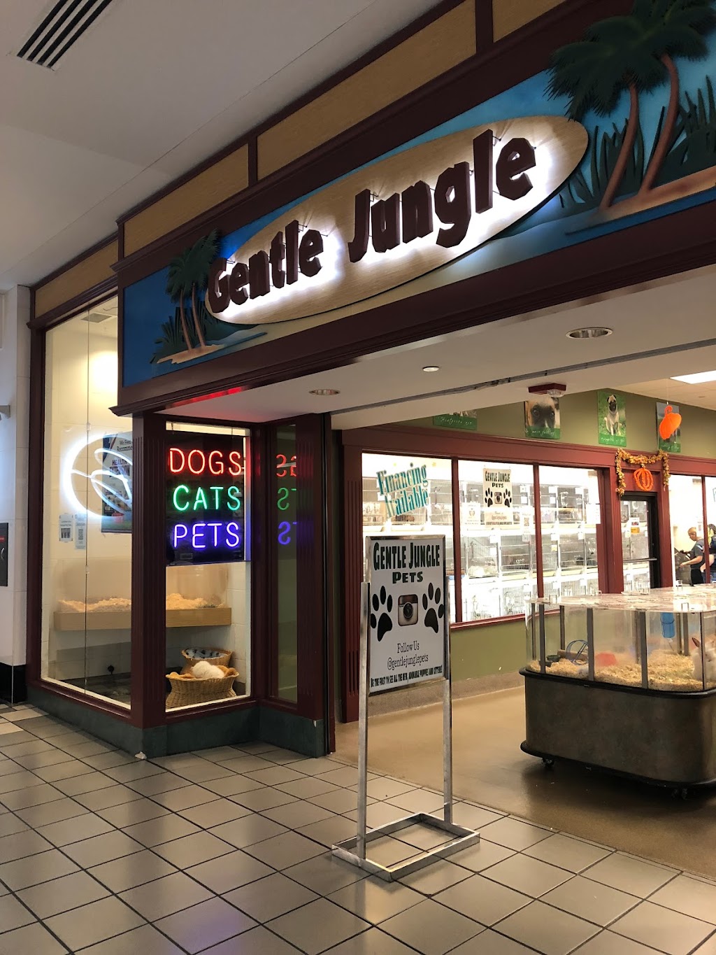 Gentle Jungle Pet Store | 470 Lewis Ave, Meriden, CT 06451 | Phone: (203) 238-0507