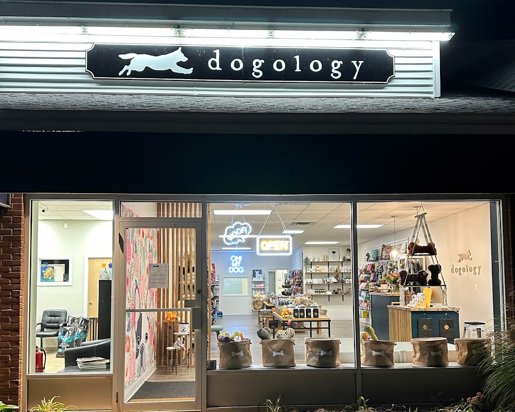Dogology Avon | 70 E Main St, Avon, CT 06001 | Phone: (860) 606-6995