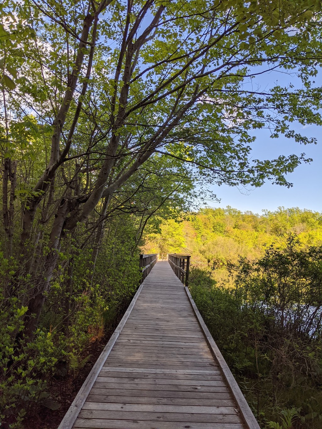 Shu Swamp Nature Preserve | 28 Frost Mill Rd, Mill Neck, NY 11765 | Phone: (516) 671-0283