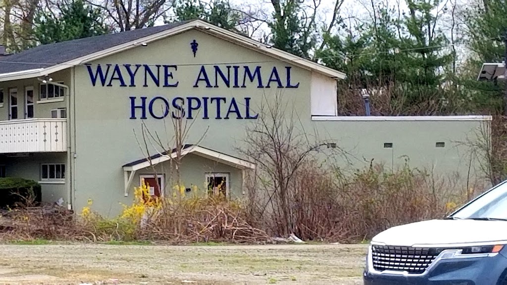 Wayne Animal Hospital | 2411 Hamburg Turnpike, Wayne, NJ 07470 | Phone: (973) 839-3737