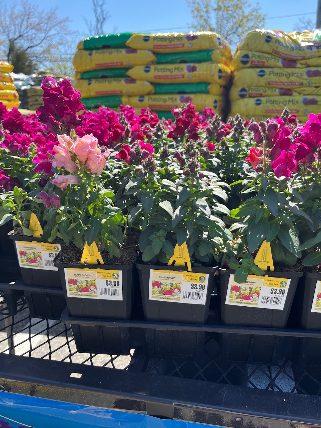 Lowes Garden Center | 5005 Edgmont Ave, Brookhaven, PA 19015 | Phone: (610) 990-8186