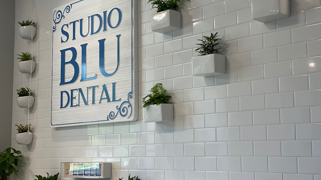 Studio Blu Dental | 3598 Rte 9W suite B, Highland, NY 12528 | Phone: (845) 393-4122