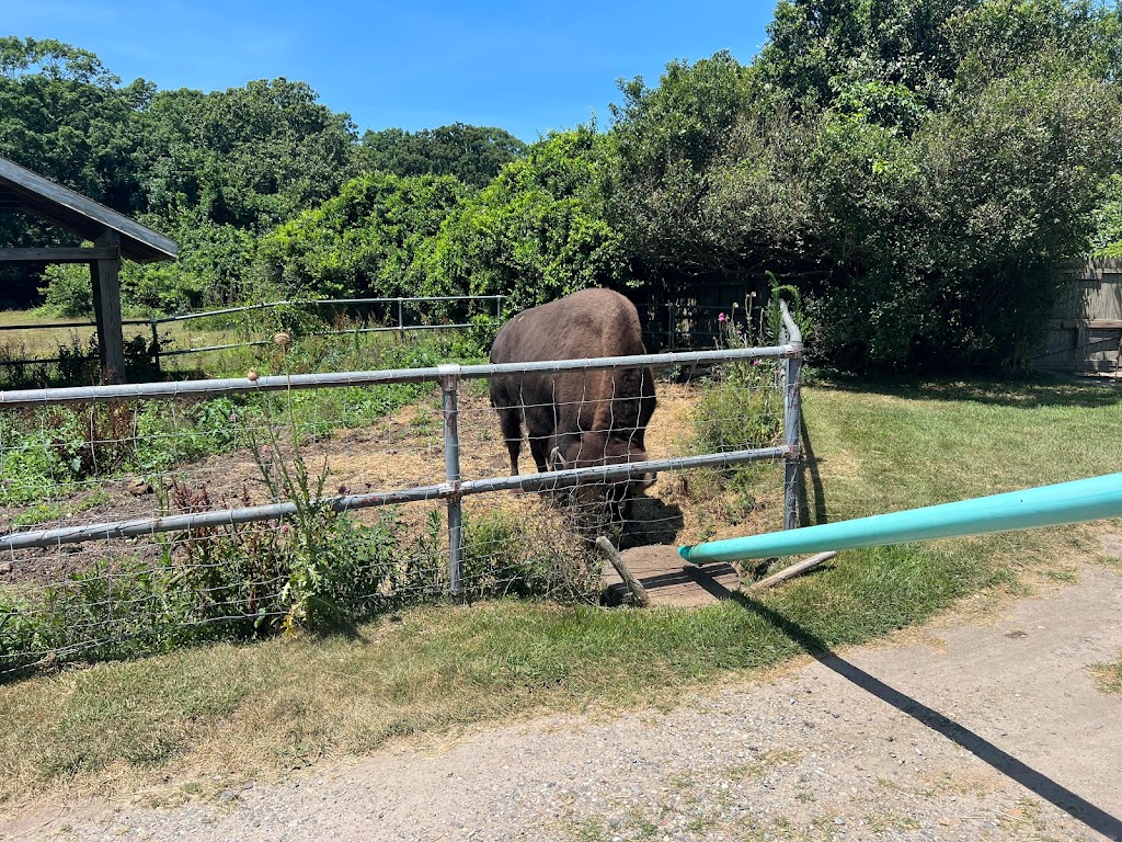 Long Island Game Farm Wildlife Park & Childrens Zoo | 489 Chapman Blvd, Manorville, NY 11949 | Phone: (631) 878-6644