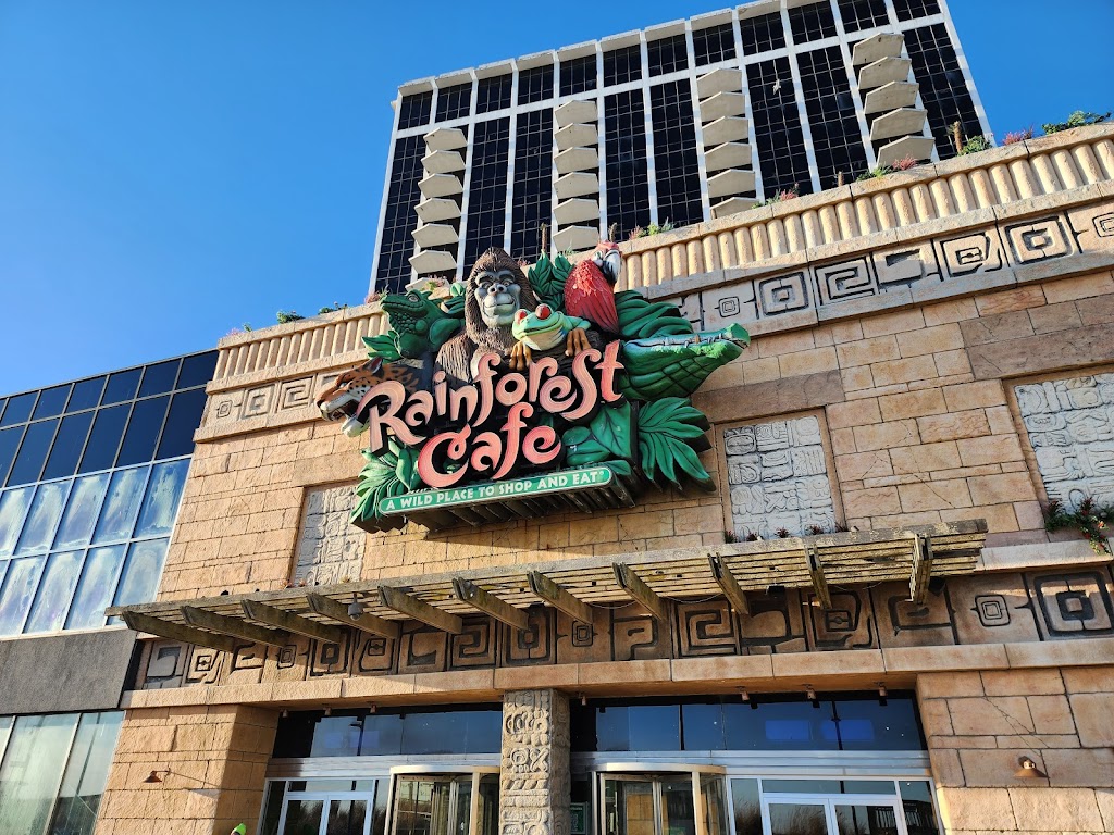 Rainforest Cafe | 2201 Boardwalk, Atlantic City, NJ 08401 | Phone: (609) 345-5757