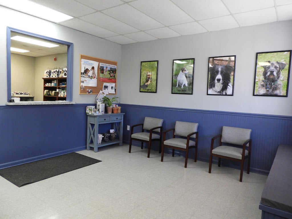 West Hunterdon Animal Hospital | 631 NJ-12, Flemington, NJ 08822 | Phone: (908) 788-4001