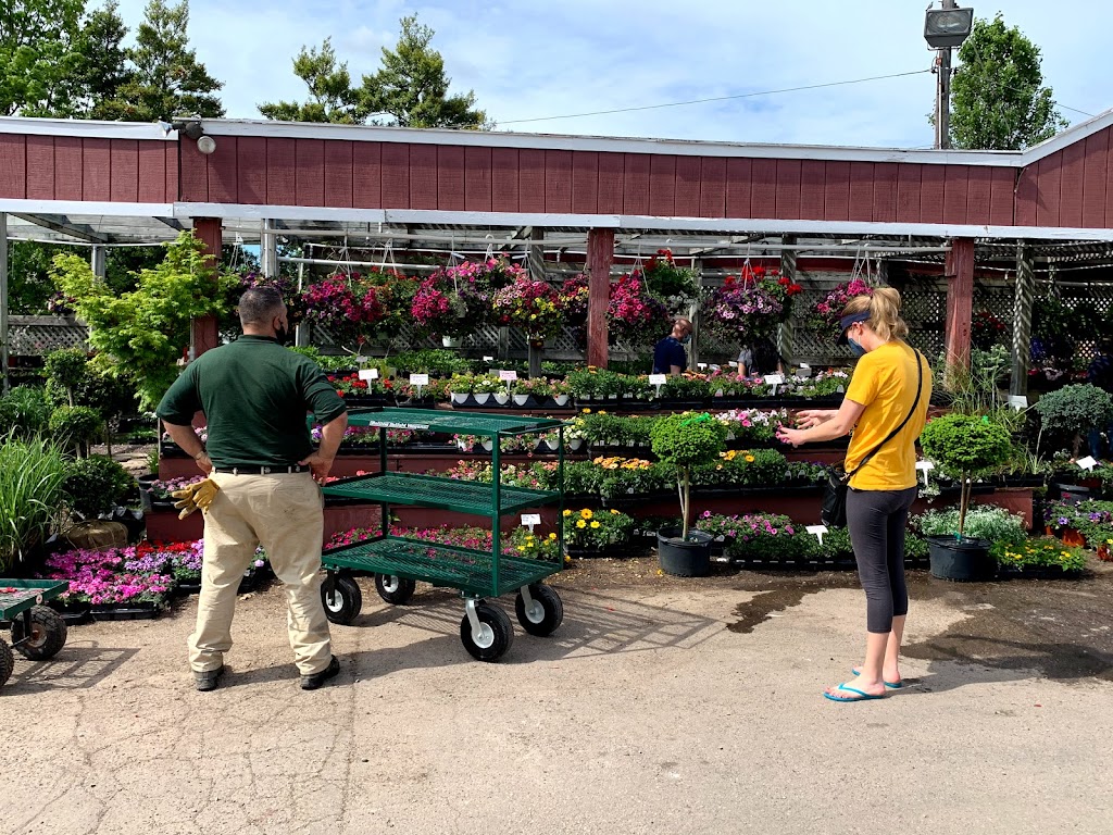 A. Piazza Nursery & Landscape Solutions | 1043 Belvoir Rd, Plymouth Meeting, PA 19462 | Phone: (610) 639-8230