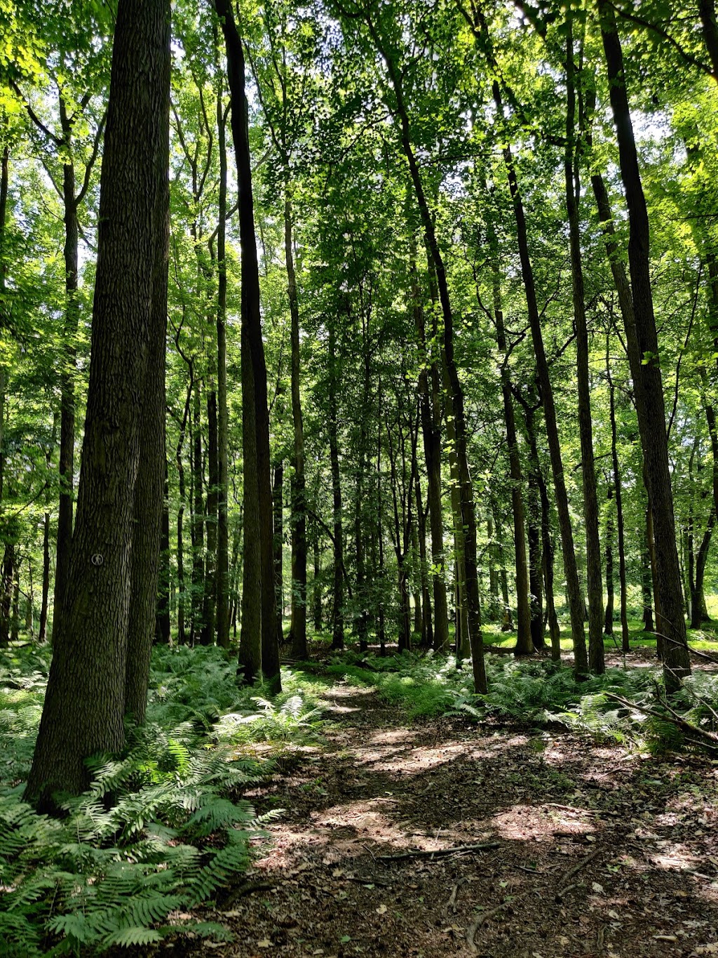 Heritage Conservancy Croydon Woods Nature Preserve | Croydon, PA 19021 | Phone: (215) 345-7020