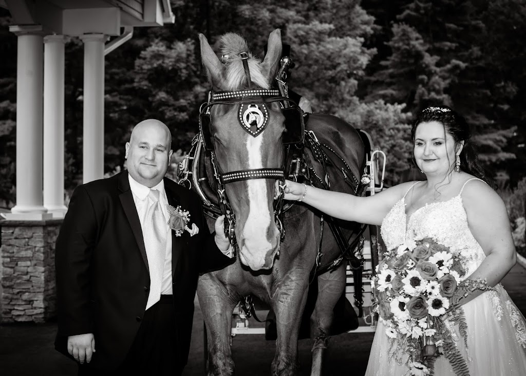 Mainely Drafts Horse And Carriage | 1361 Lyon St, Ludlow, MA 01056 | Phone: (413) 218-4074