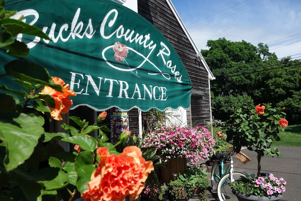 Bucks County Roses | 1235 Buck Rd Holland Located, Zip Code for GPS, Southampton, PA 18966 | Phone: (215) 968-6200