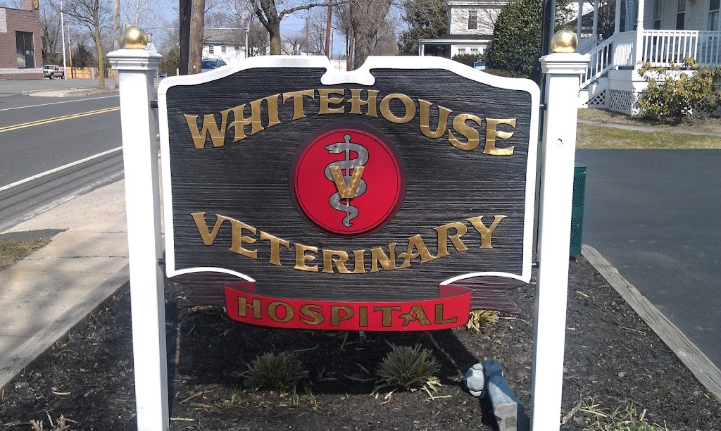 Whitehouse Veterinary Hospital | 274 Main St, Whitehouse Station, NJ 08889 | Phone: (908) 534-4121