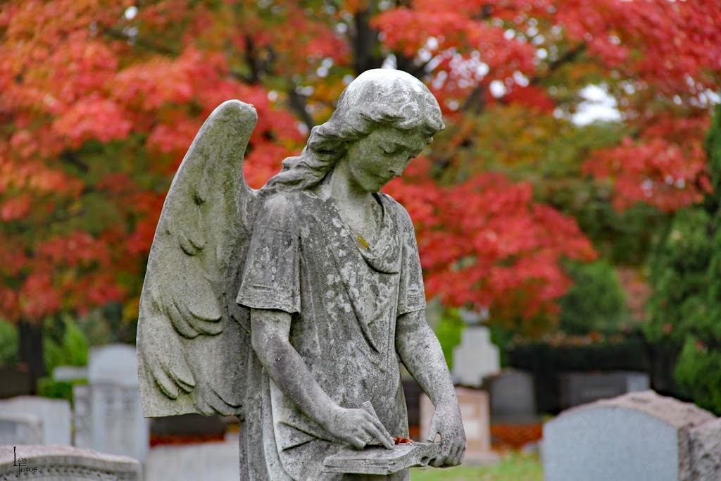 Riverview Cemetery | 870 Centre St, Trenton, NJ 08611 | Phone: (609) 396-9540