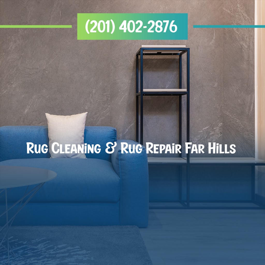 Rug Cleaning & Rug Repair Far Hills | 260 Holland Rd, Far Hills, NJ 07931 | Phone: (201) 402-2876