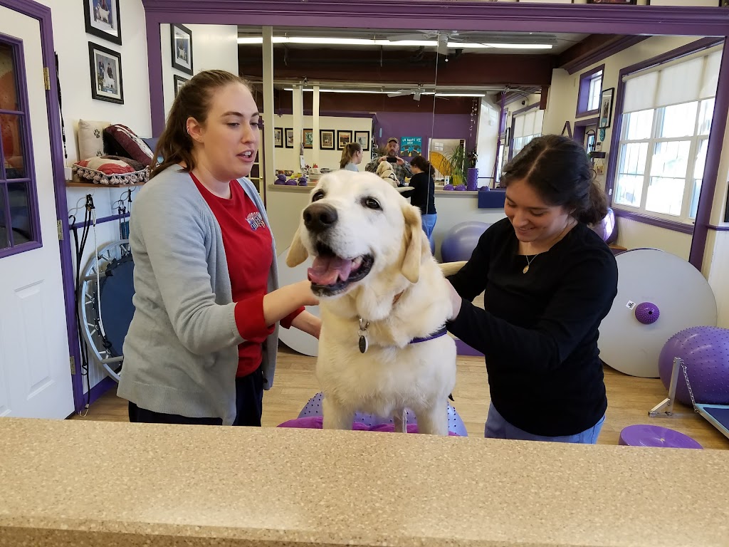 Wizard of Paws Physical Rehab | 155 Westchester Rd, Colchester, CT 06415 | Phone: (860) 267-9191