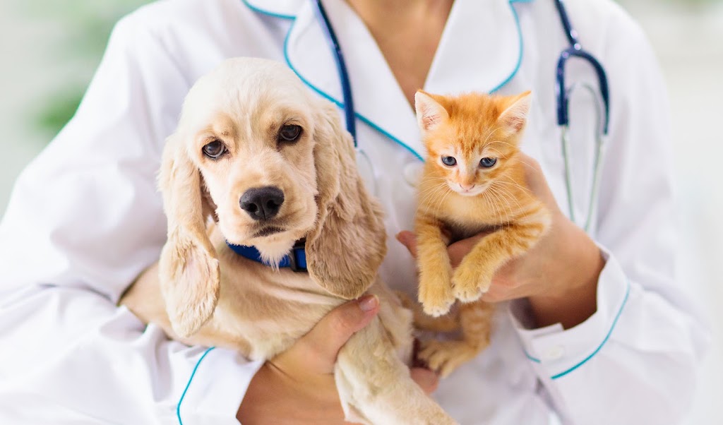 Raritan Valley Veterinary Hospital | 1190 NJ-28, Branchburg, NJ 08876 | Phone: (908) 905-0041