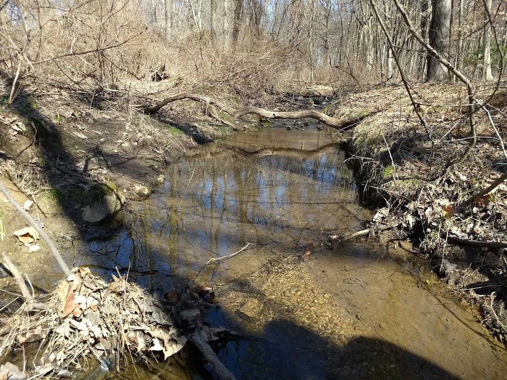 Natural Lands Willisbrook Preserve | 110 Township, Line Rd, Malvern, PA 19355 | Phone: (610) 353-5587