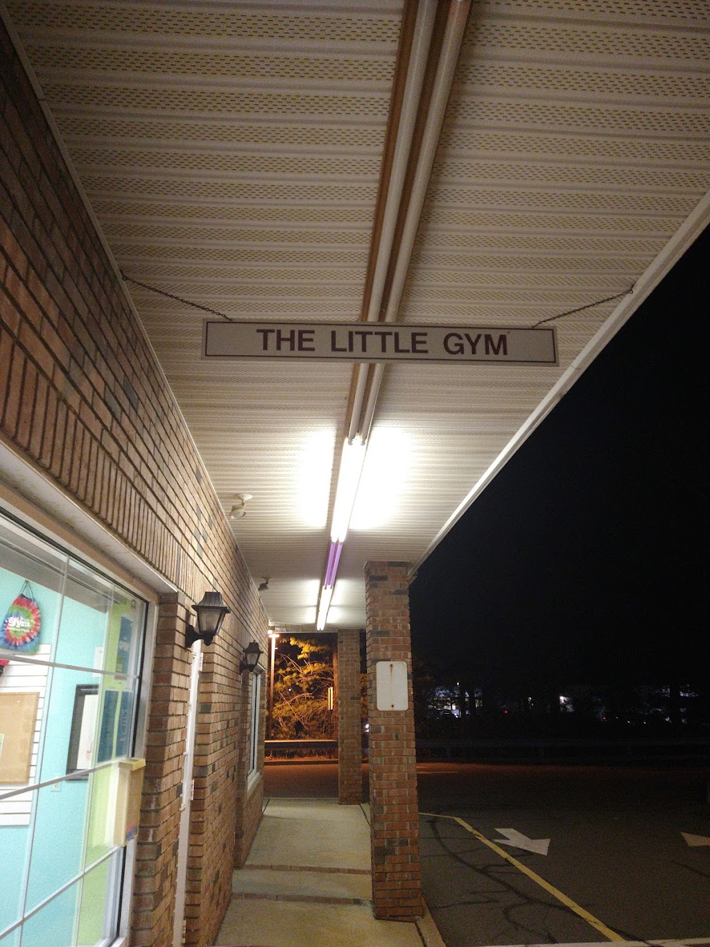 Little Gym of West Windsor | 217 Clarksville Rd, West Windsor Township, NJ 08550 | Phone: (609) 799-7776