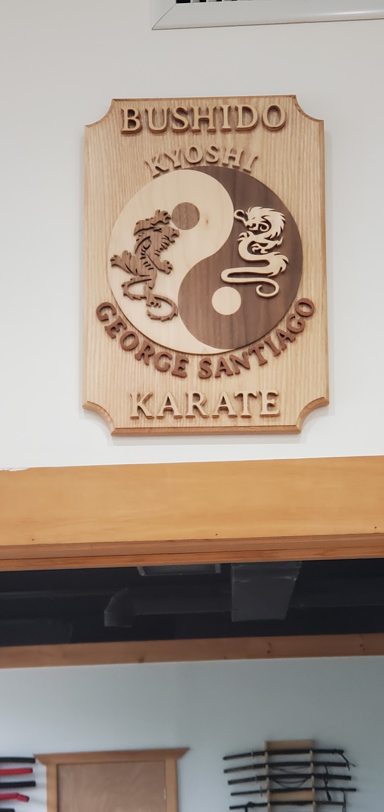 Bushido Karate Dojo | 876 Connetquot Ave #01, Islip Terrace, NY 11752 | Phone: (631) 277-3656