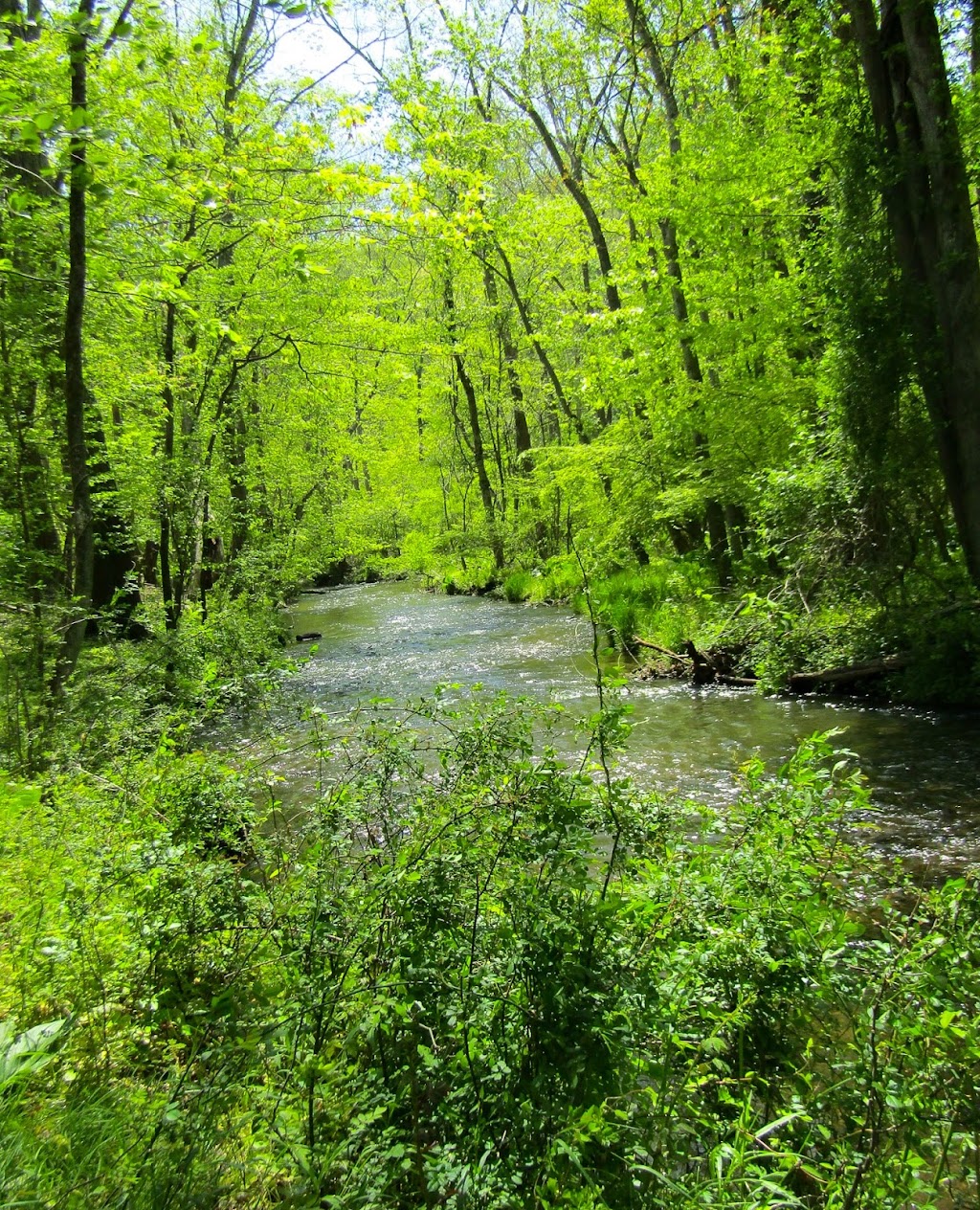 Natural Lands Hildacy Preserve | 1031 Palmers Mill Rd, Media, PA 19063 | Phone: (610) 353-5587