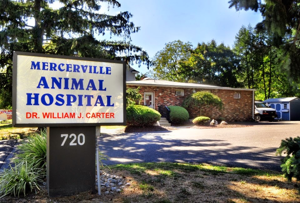 Mercerville Animal Hospital | 720 Edinburg Rd, Mercerville, NJ 08619 | Phone: (609) 587-5863