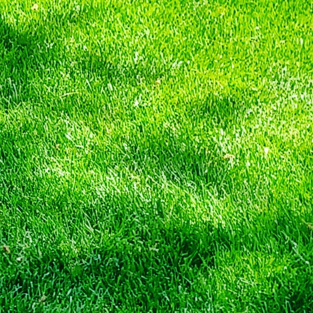 Sterling green lawn | 4168 Dillon Rd, Doylestown, PA 18902 | Phone: (267) 221-5632