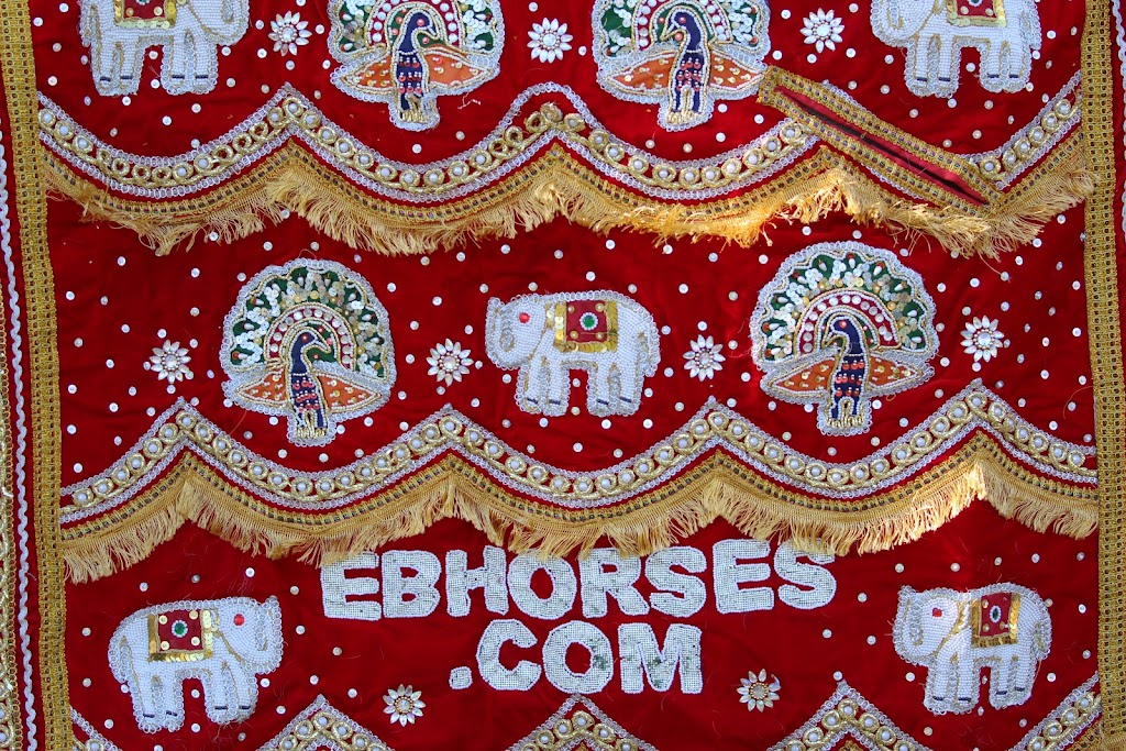 Equishare Baraat Horses | 440 South St, Morristown, NJ 07960 | Phone: (973) 644-3355