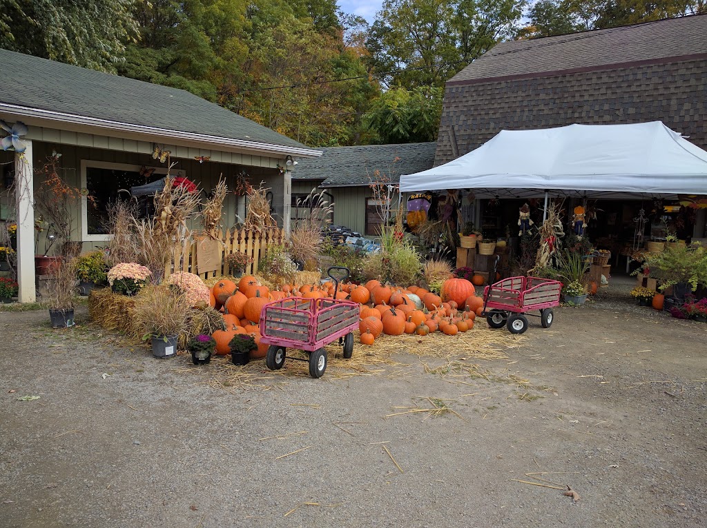 Wonderland Florist, Nursery and Farm Market | 201 E Market St, Rhinebeck, NY 12572 | Phone: (845) 876-4981