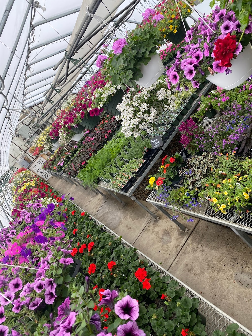 Thomas Greenhouse | 1586 Mt Bethel Hwy, Mt Bethel, PA 18343 | Phone: (484) 661-6553