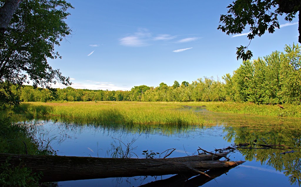 Mass Audubon Arcadia Wildlife Sanctuary | 127 Combs Rd, Easthampton, MA 01027 | Phone: (413) 584-3009