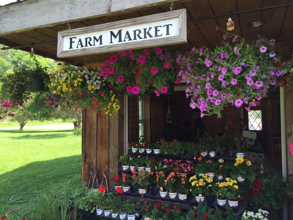 Diehl Farms Farm Market | 623 Gabel Rd, Callicoon, NY 12723 | Phone: (845) 807-3131