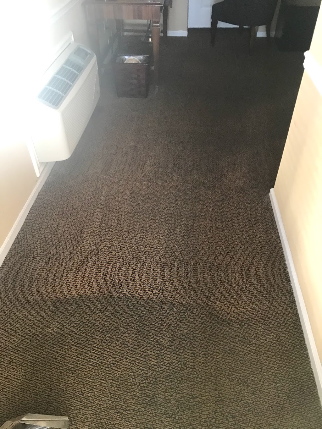 Green Solutions carpet | 1490 Hornell Loop, Brooklyn, NY 11239 | Phone: (866) 784-3478