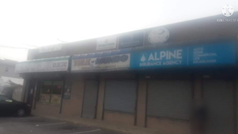 Alpine Insurance | 1784 5th Ave Unit B, Bay Shore, NY 11706 | Phone: (631) 435-0001