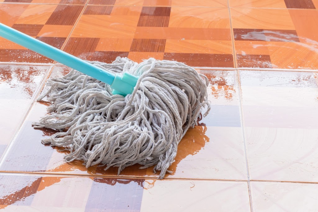Aardvark Cleaning Company | 192 Chipperfield Dr, Effort, PA 18330 | Phone: (570) 221-4388