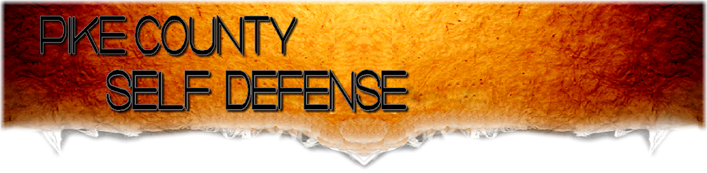 Pike County Self Defense | 106 Dingmans Plaza Rt.739, Dingmans Ferry, PA 18328 | Phone: (570) 580-0565