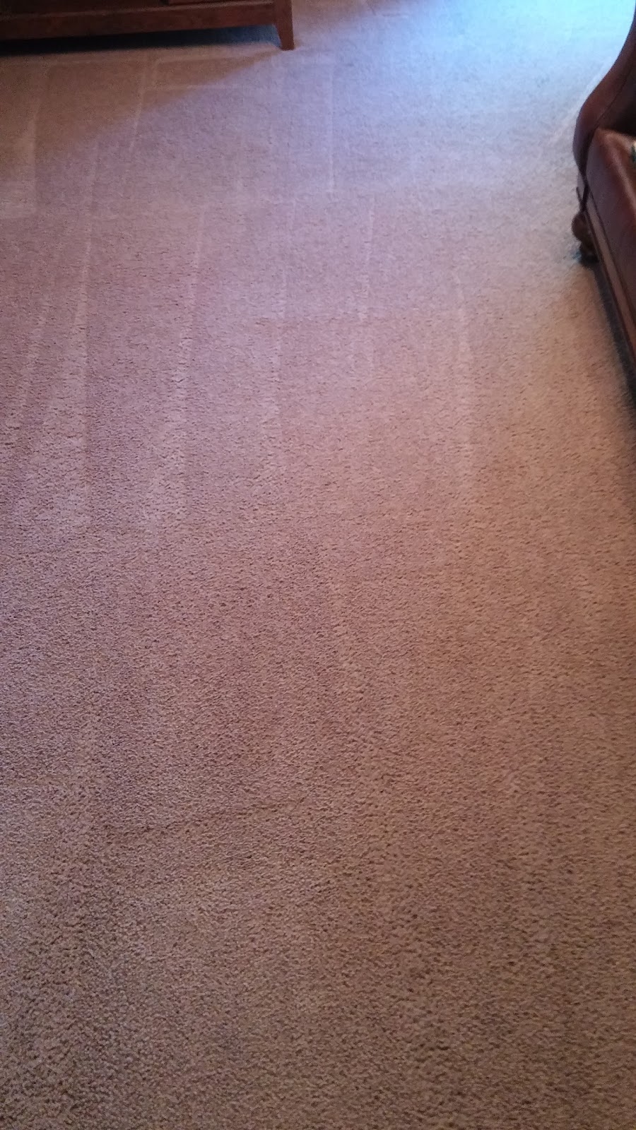 Carpet Cleaning Solutions | 133 Threadleaf Terrace, Burlington Township, NJ 08016 | Phone: (609) 346-5010