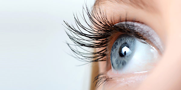 Connecticut Retina Consultants Fairfield, CT | 2119 Post Rd 2nd floor, Fairfield, CT 06824 | Phone: (203) 870-6113