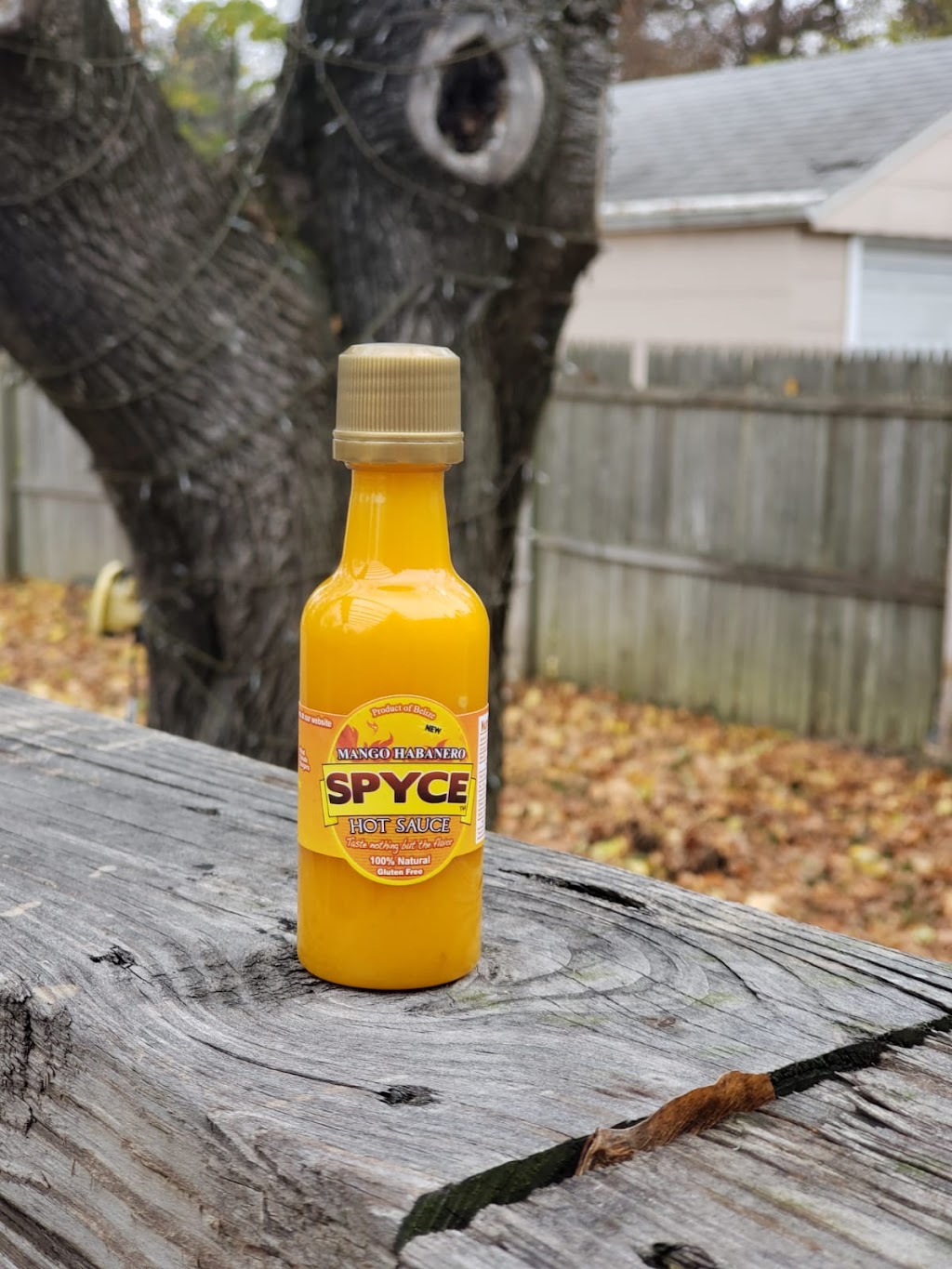 Spyce Hot Sauce | 561G Acorn St, Deer Park, NY 11729 | Phone: (800) 697-1277
