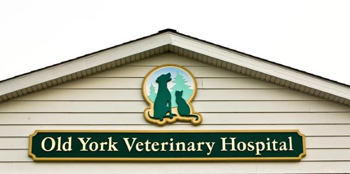 Old York Veterinary Hospital | 2126 Old York Rd, Bordentown, NJ 08505 | Phone: (609) 379-2287