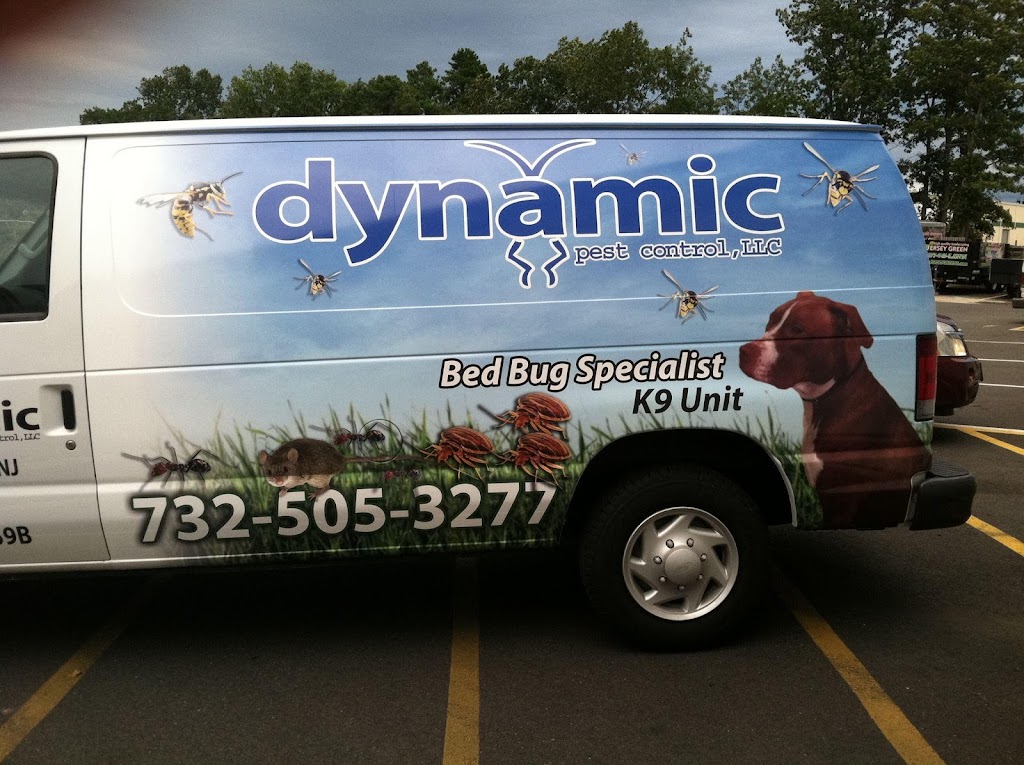 Dynamic Pest Control LLC | 1889 US-9 #23, Toms River, NJ 08755 | Phone: (732) 505-3277