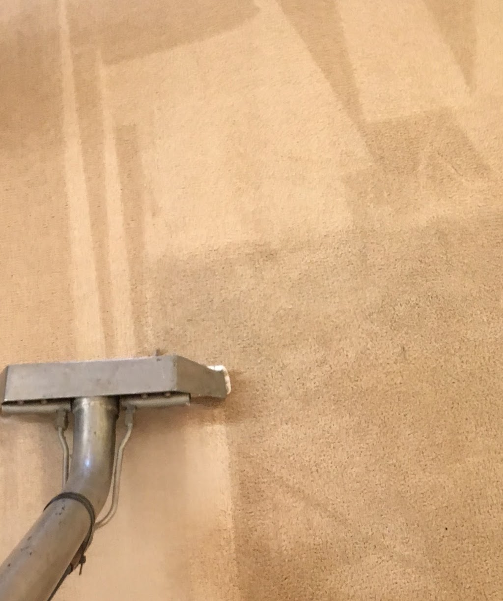 All Phase Carpet & Floor Cleaning LLC | 14 Mead Ct, Summit, NJ 07901 | Phone: (908) 310-2527