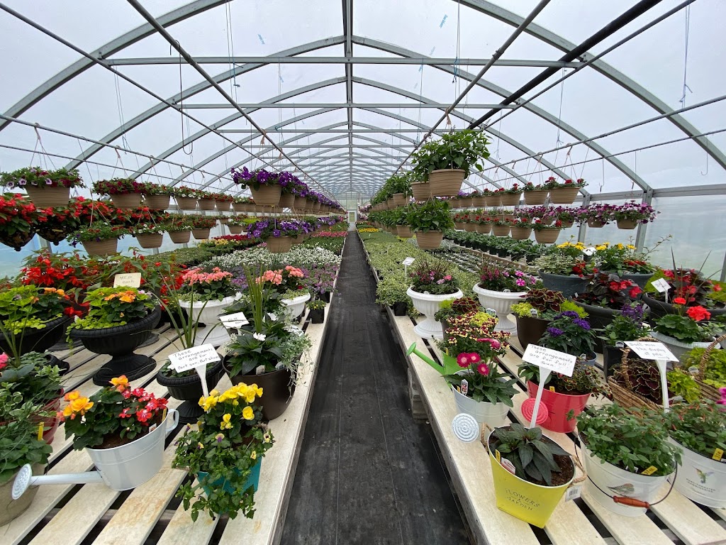 Rose Valley Greenhouse | 1288 Rose Valley School Rd, Dover, DE 19904 | Phone: (302) 734-2681