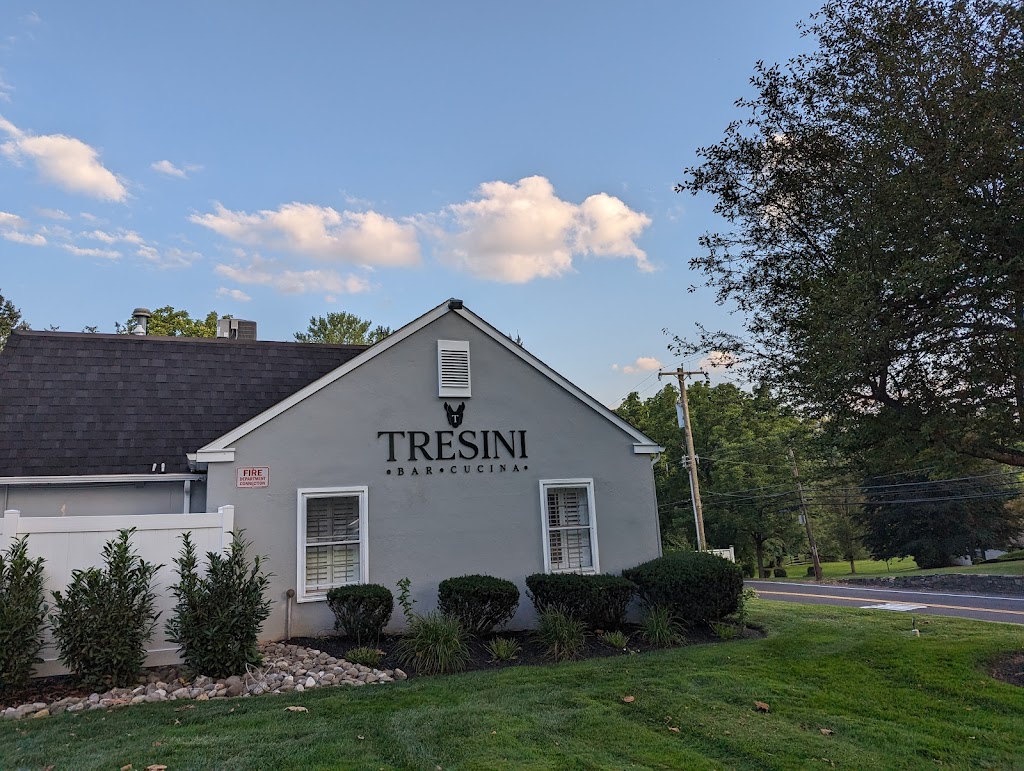 TRESINI | 504 N Bethlehem Pike, Ambler, PA 19002 | Phone: (215) 654-5000