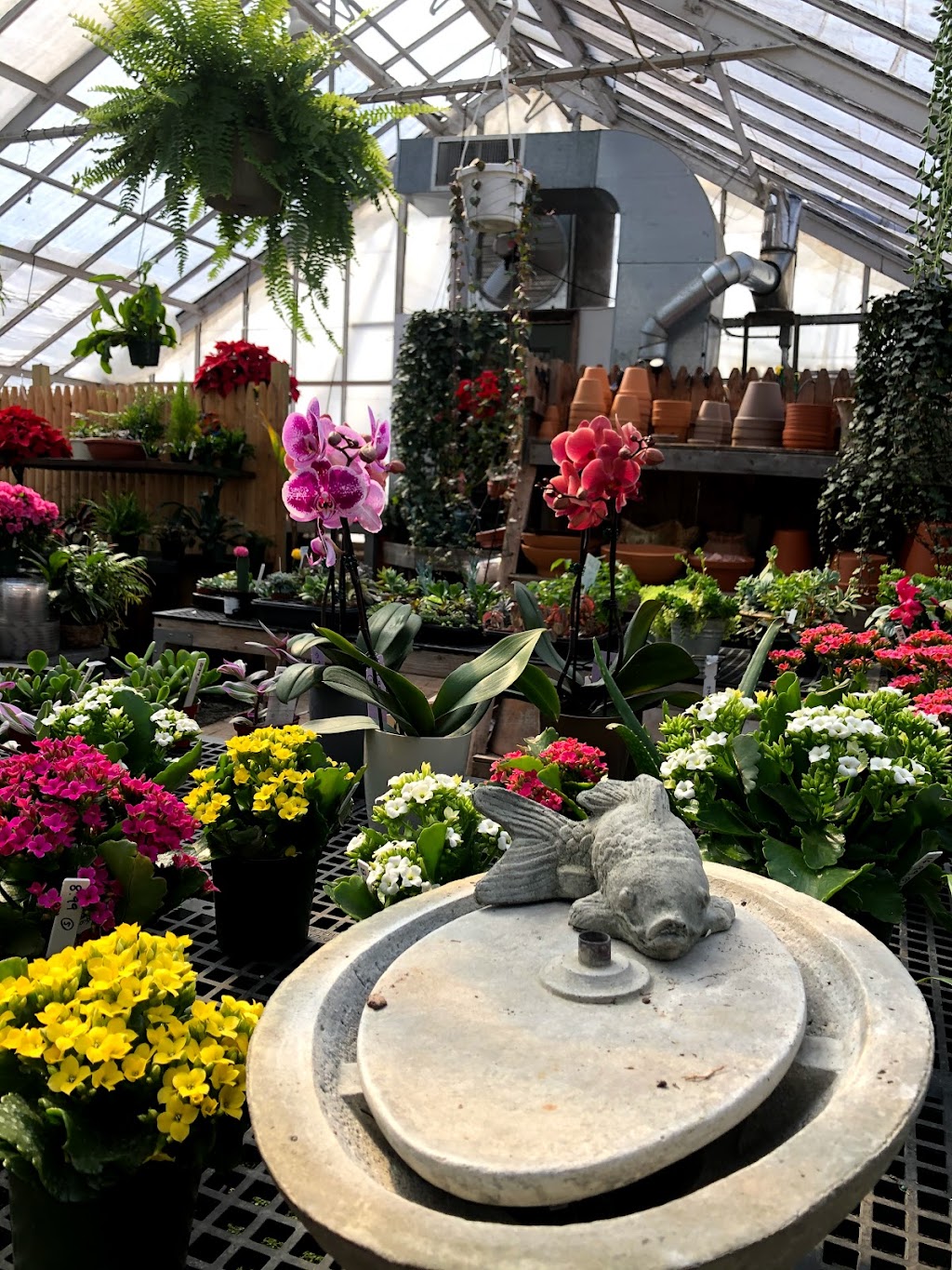 Gossett Brothers Nursery | 1202 Old Post Rd, South Salem, NY 10590 | Phone: (914) 763-3001