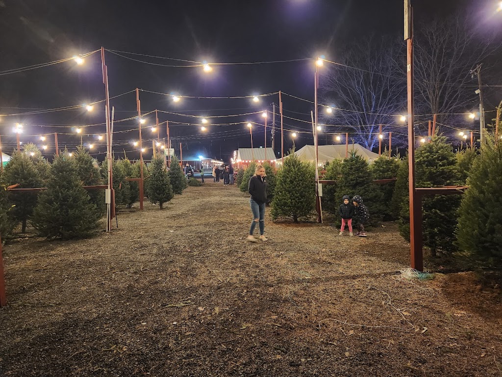 Stout Christmas Trees | 1570 Swamp Rd, Fountainville, PA 18923 | Phone: (215) 249-1334