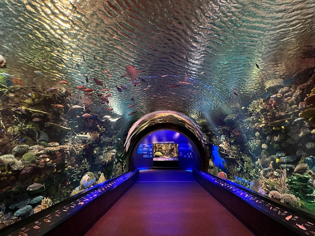 New York Aquarium | 602 Surf Ave, Brooklyn, NY 11224 | Phone: (718) 265-3474