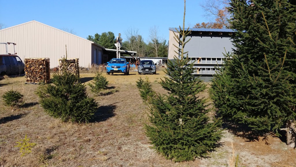 Kavett Christmas Tree Farm | 471 Casino Dr, Farmingdale, NJ 07727 | Phone: (732) 431-2152