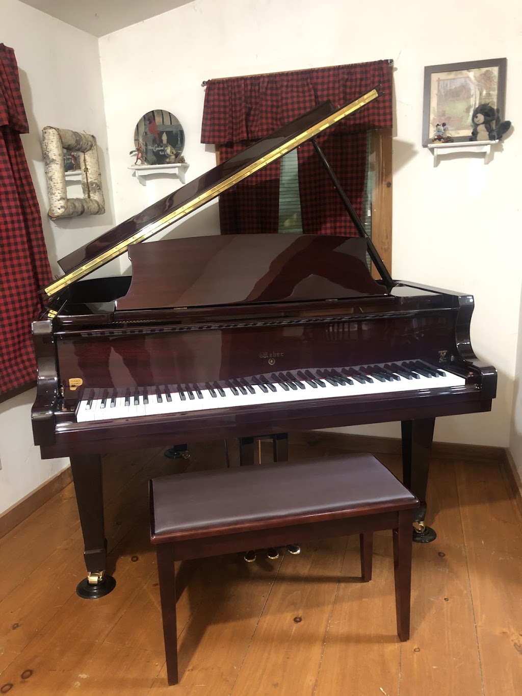 Zoom Piano School | Church St, Shokan, NY 12481 | Phone: (845) 657-1819